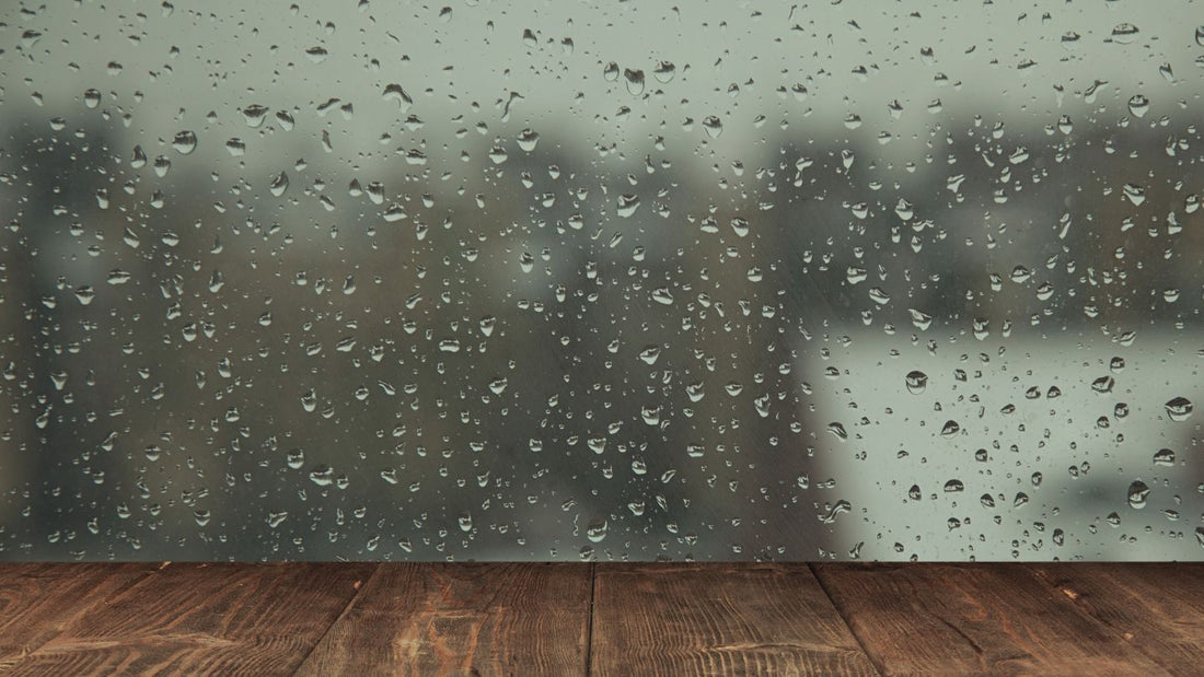 Mother’s Day, Mayo, and the Mayhem