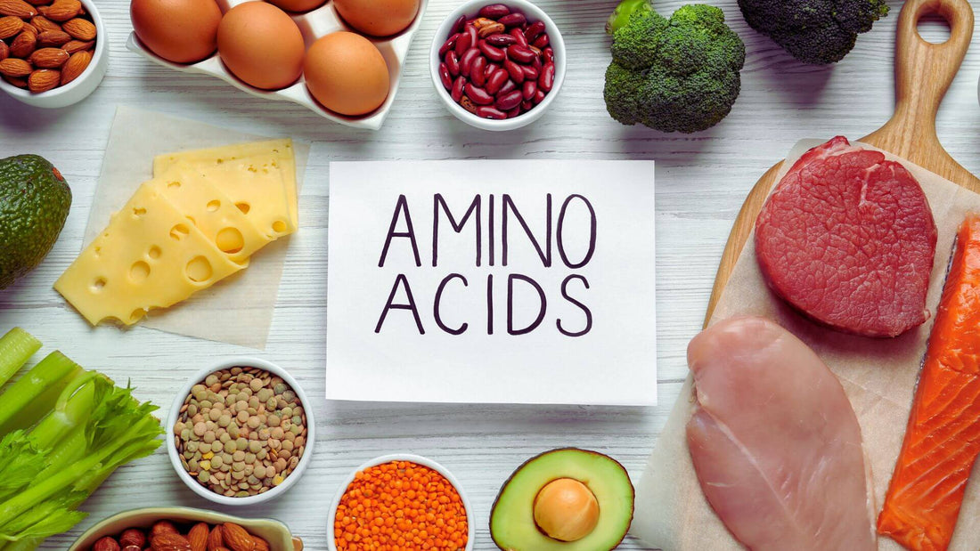 Shred Smarter: Why Amino Acids and Good Bacteria Rule Post-Workout